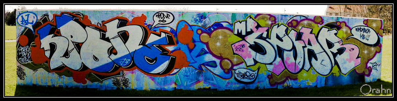 http://orahn59.chez-alice.fr/8-avril/17-04-2007-064.jpg
